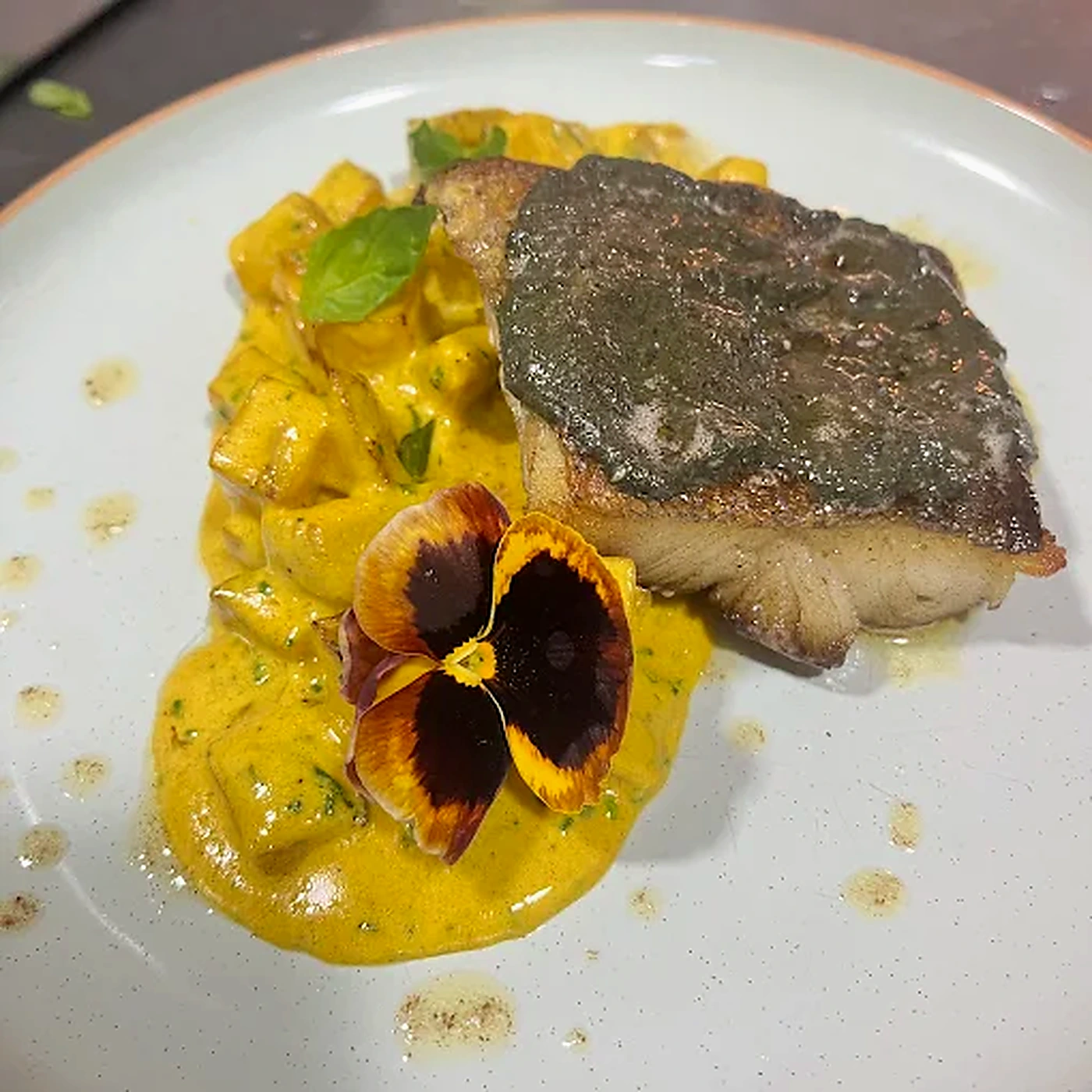 Plato de fondo DiMontt
