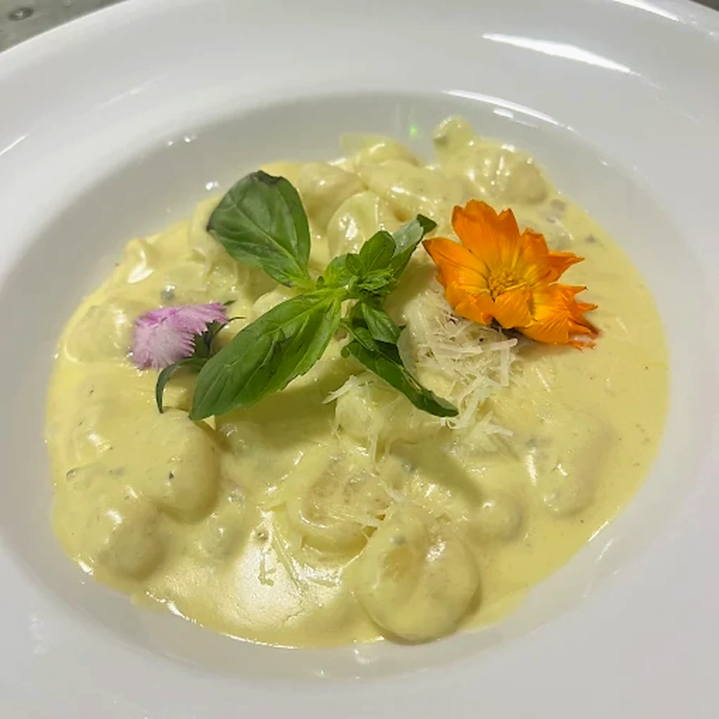 Gnocchi DiMontt